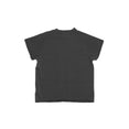 Medicine Raglan T-shirt (Faded Black)
