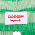 Chunky Rabbit Beanie (Green)