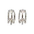 Large Hoops Earrings (Transparent/Silver)
