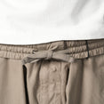 Micro-Reps Boxy Lens Cargo Pants (Fallen Rock)