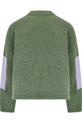 Intarsia Print Sweater (Green)