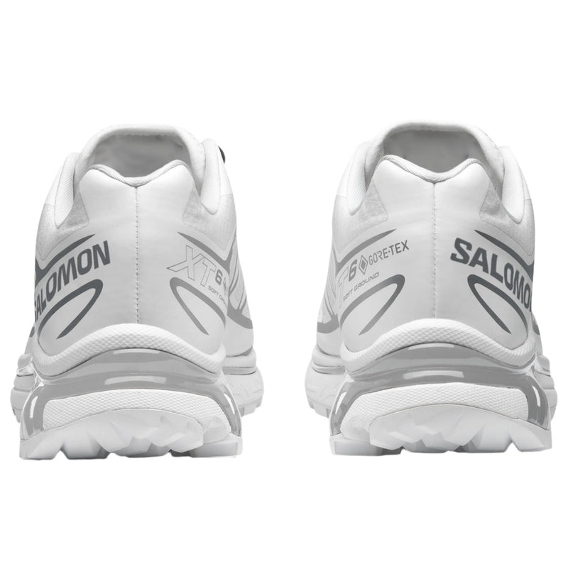 XT-6 GTX Sneaker (White/White/Ftw Silver)