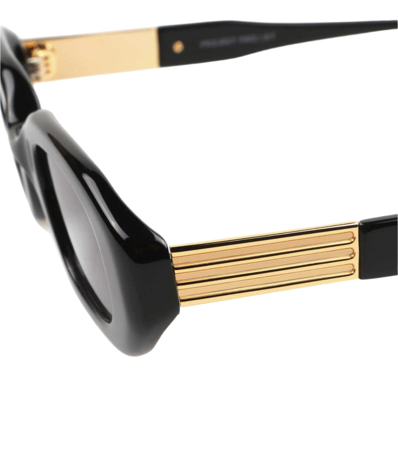 GE-CC2 Sunglasses (Black + gold)