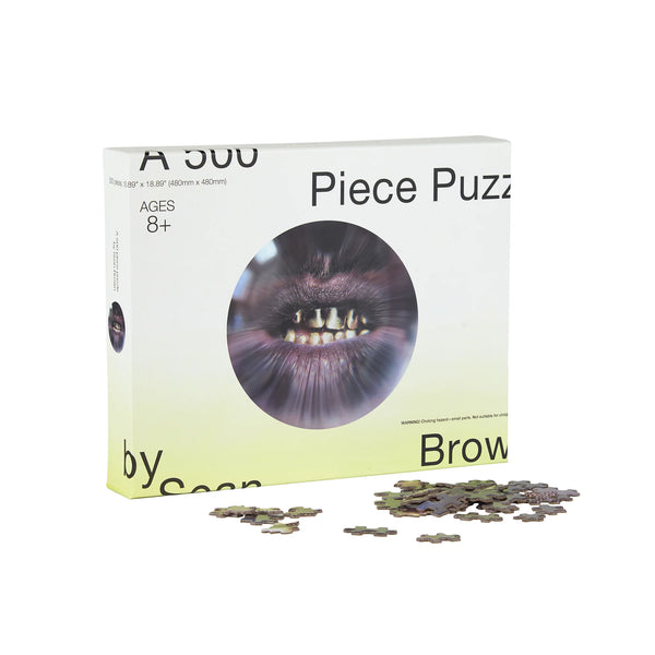 Trick 500 Piece Fisheye Puzzle